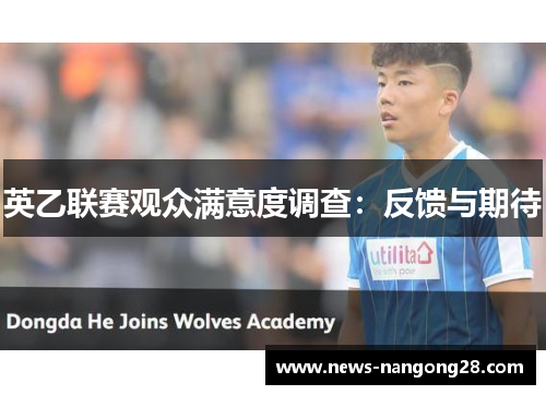 英乙联赛观众满意度调查：反馈与期待