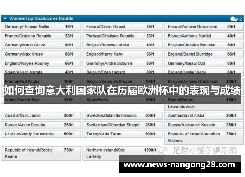 如何查询意大利国家队在历届欧洲杯中的表现与成绩